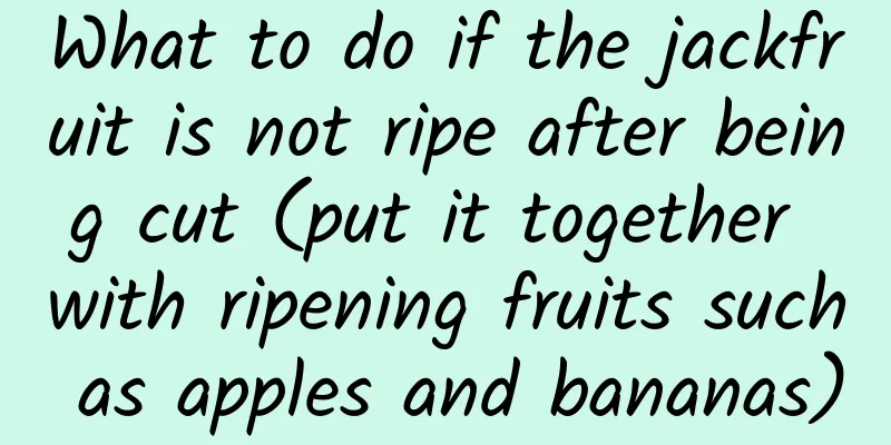 What to do if the jackfruit is not ripe after being cut (put it together with ripening fruits such as apples and bananas)