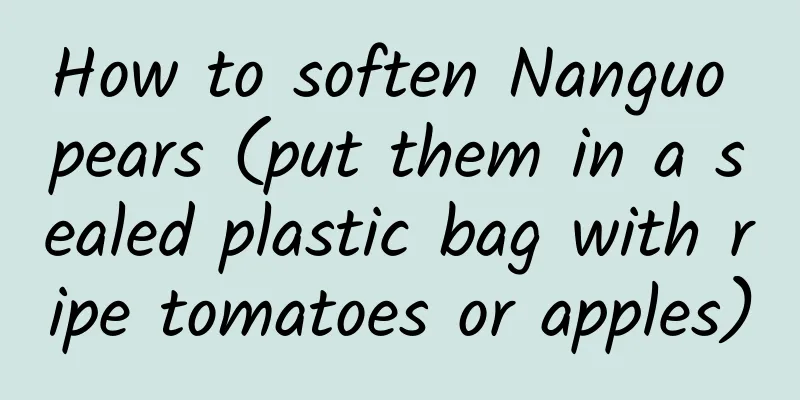 How to soften Nanguo pears (put them in a sealed plastic bag with ripe tomatoes or apples)