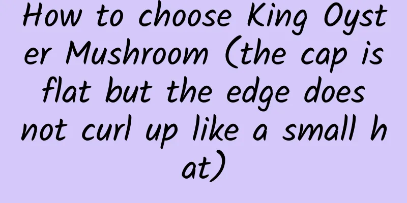 How to choose King Oyster Mushroom (the cap is flat but the edge does not curl up like a small hat)