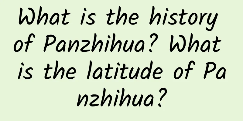 What is the history of Panzhihua? What is the latitude of Panzhihua?
