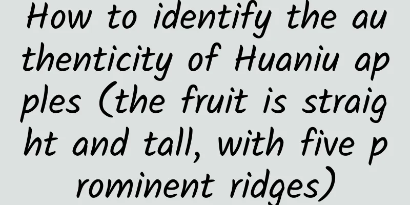 How to identify the authenticity of Huaniu apples (the fruit is straight and tall, with five prominent ridges)