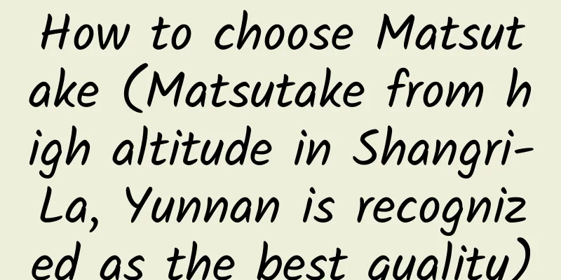 How to choose Matsutake (Matsutake from high altitude in Shangri-La, Yunnan is recognized as the best quality)