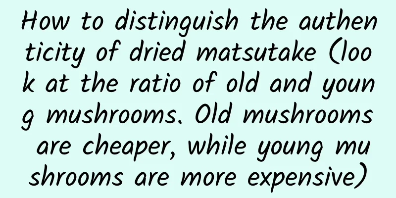 How to distinguish the authenticity of dried matsutake (look at the ratio of old and young mushrooms. Old mushrooms are cheaper, while young mushrooms are more expensive)