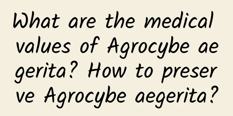 What are the medical values ​​of Agrocybe aegerita? How to preserve Agrocybe aegerita?