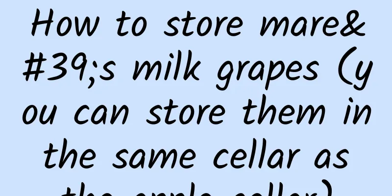 How to store mare's milk grapes (you can store them in the same cellar as the apple cellar)