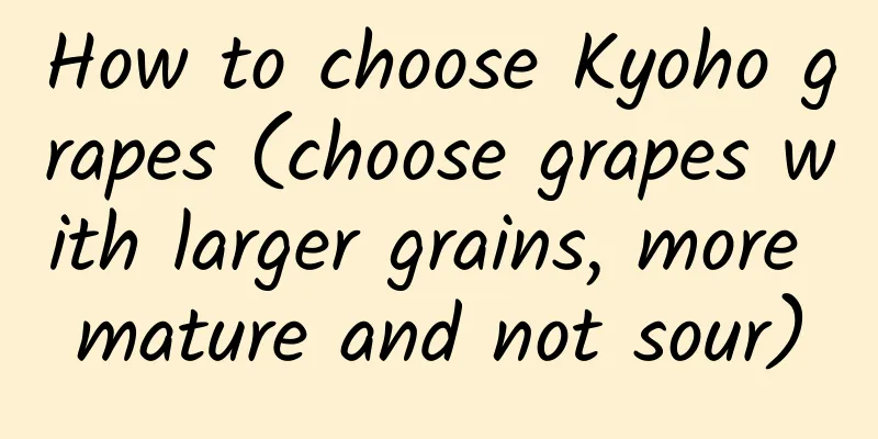 How to choose Kyoho grapes (choose grapes with larger grains, more mature and not sour)