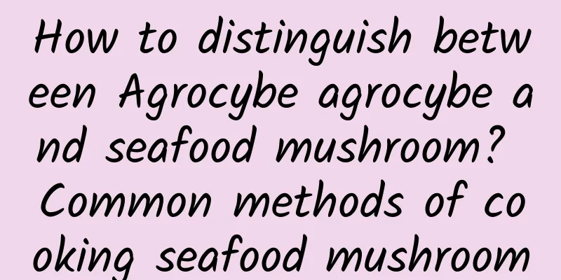 How to distinguish between Agrocybe agrocybe and seafood mushroom? Common methods of cooking seafood mushroom
