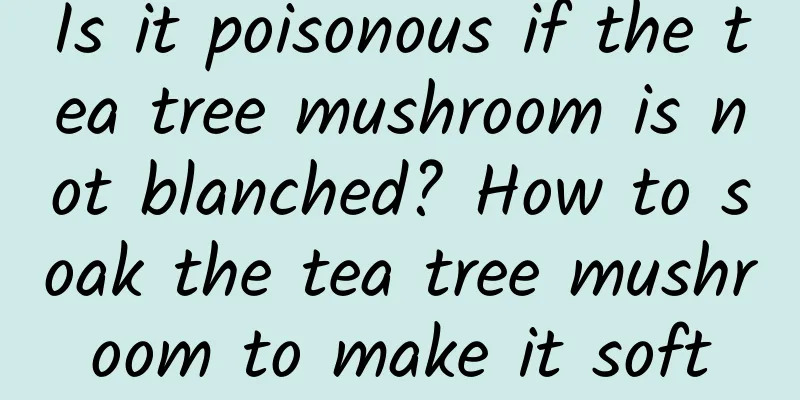 Is it poisonous if the tea tree mushroom is not blanched? How to soak the tea tree mushroom to make it soft