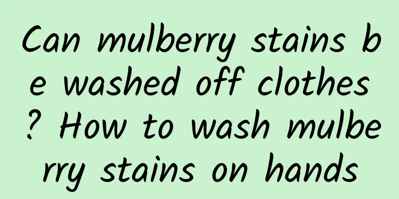 Can mulberry stains be washed off clothes? How to wash mulberry stains on hands