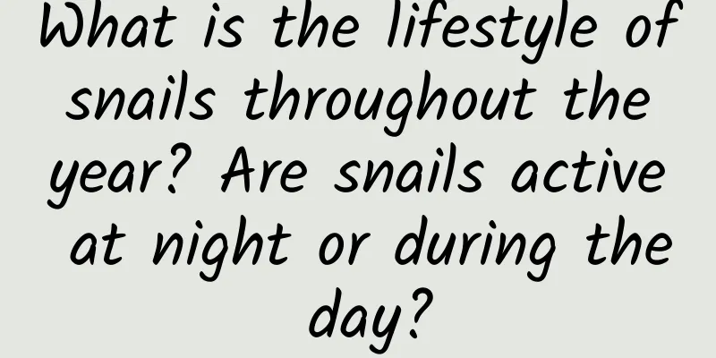 What is the lifestyle of snails throughout the year? Are snails active at night or during the day?