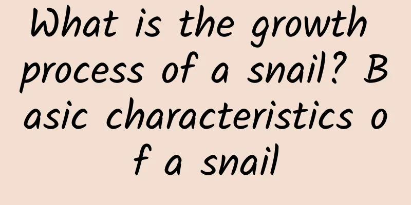 What is the growth process of a snail? Basic characteristics of a snail