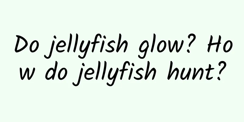 Do jellyfish glow? How do jellyfish hunt?
