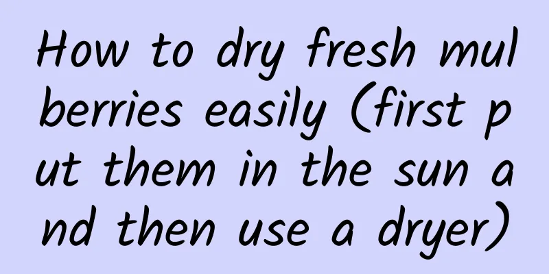 How to dry fresh mulberries easily (first put them in the sun and then use a dryer)