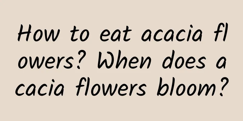 How to eat acacia flowers? When does acacia flowers bloom?