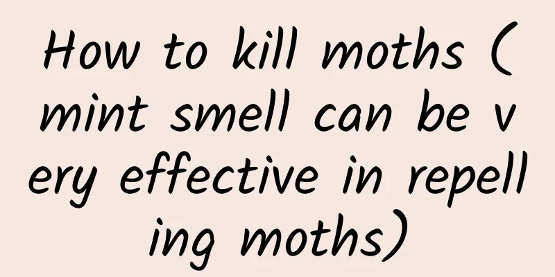 How to kill moths (mint smell can be very effective in repelling moths)