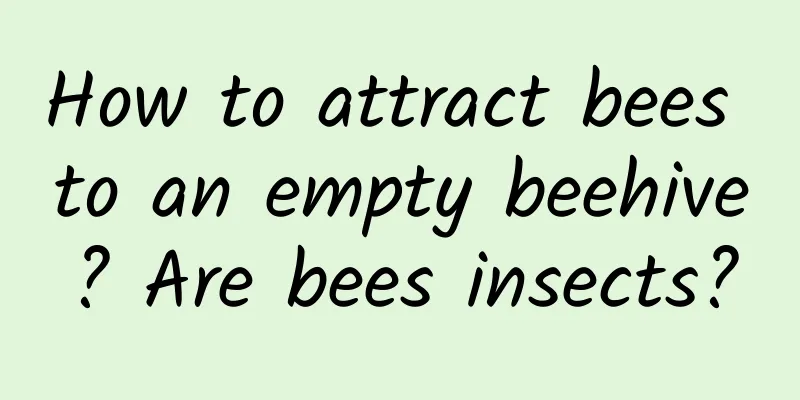 How to attract bees to an empty beehive? Are bees insects?