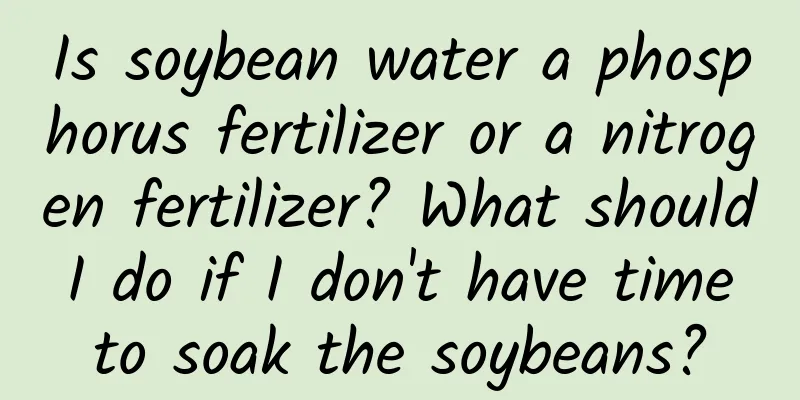 Is soybean water a phosphorus fertilizer or a nitrogen fertilizer? What should I do if I don't have time to soak the soybeans?