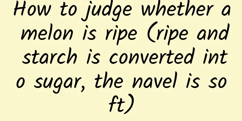How to judge whether a melon is ripe (ripe and starch is converted into sugar, the navel is soft)