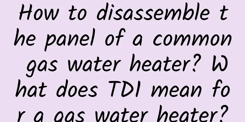 How to disassemble the panel of a common gas water heater? What does TD1 mean for a gas water heater?