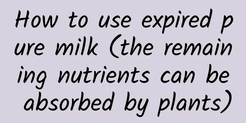 How to use expired pure milk (the remaining nutrients can be absorbed by plants)