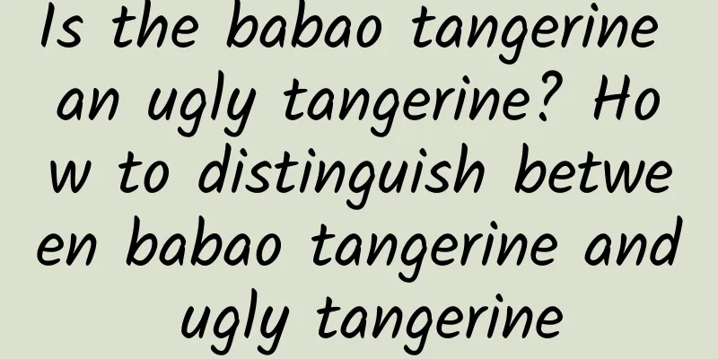 Is the babao tangerine an ugly tangerine? How to distinguish between babao tangerine and ugly tangerine