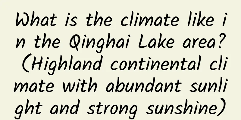 What is the climate like in the Qinghai Lake area? (Highland continental climate with abundant sunlight and strong sunshine)