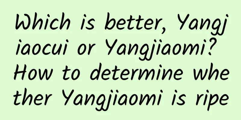 Which is better, Yangjiaocui or Yangjiaomi? How to determine whether Yangjiaomi is ripe