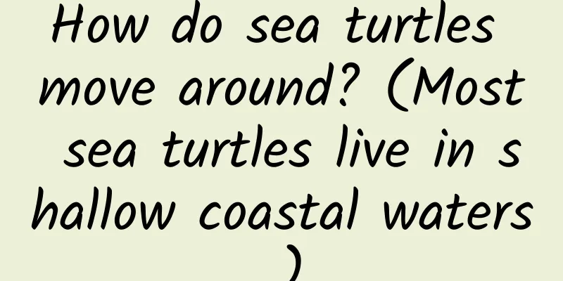 How do sea turtles move around? (Most sea turtles live in shallow coastal waters.)