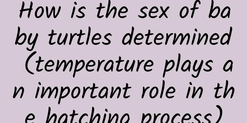 How is the sex of baby turtles determined (temperature plays an important role in the hatching process)