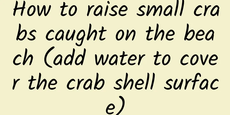How to raise small crabs caught on the beach (add water to cover the crab shell surface)