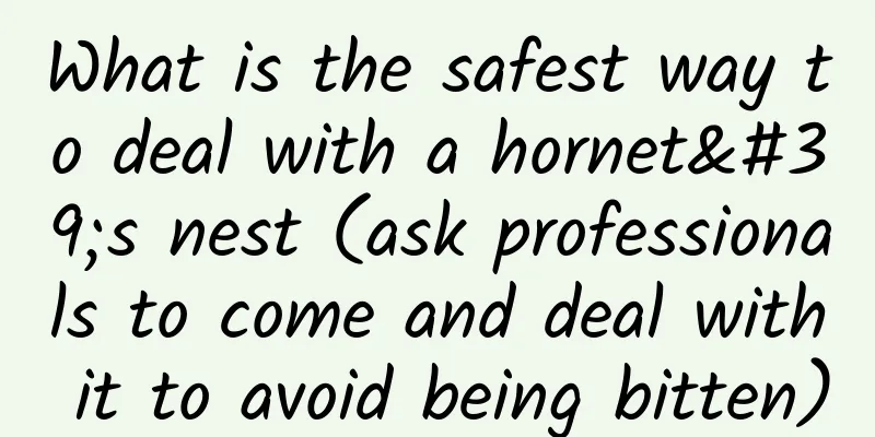 What is the safest way to deal with a hornet's nest (ask professionals to come and deal with it to avoid being bitten)