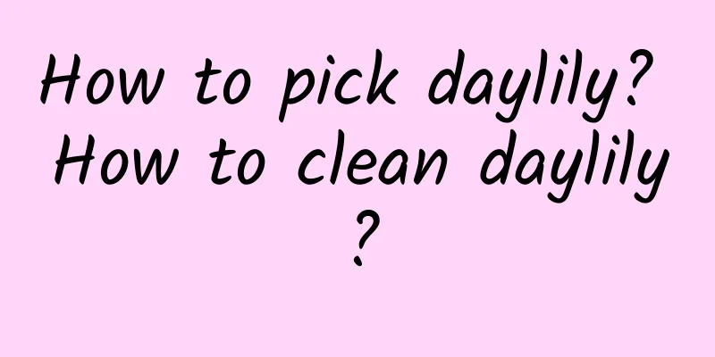 How to pick daylily? How to clean daylily?