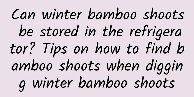 Can winter bamboo shoots be stored in the refrigerator? Tips on how to find bamboo shoots when digging winter bamboo shoots