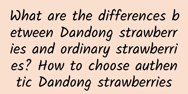 What are the differences between Dandong strawberries and ordinary strawberries? How to choose authentic Dandong strawberries