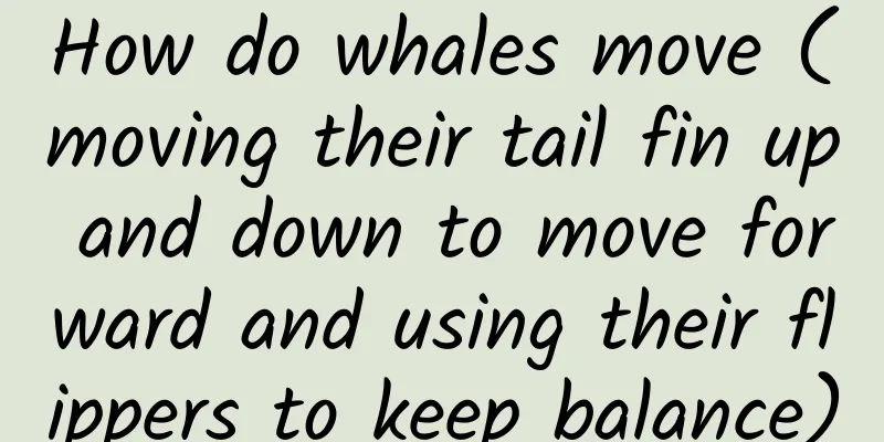 How do whales move (moving their tail fin up and down to move forward and using their flippers to keep balance)