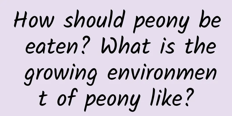 How should peony be eaten? What is the growing environment of peony like?
