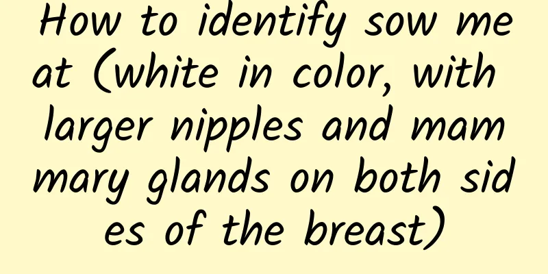 How to identify sow meat (white in color, with larger nipples and mammary glands on both sides of the breast)