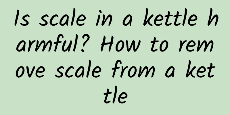Is scale in a kettle harmful? How to remove scale from a kettle