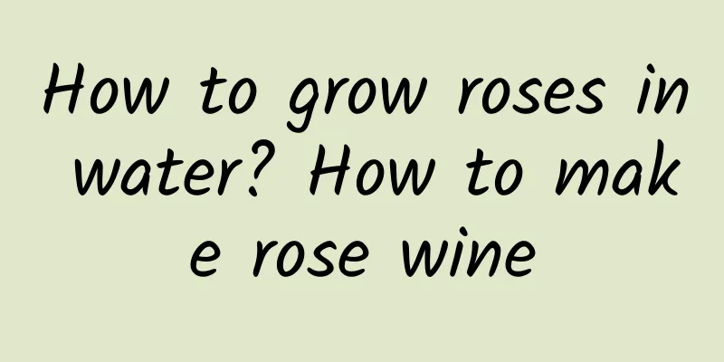 How to grow roses in water? How to make rose wine