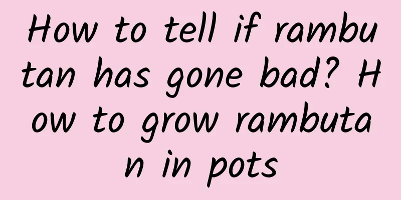 How to tell if rambutan has gone bad? How to grow rambutan in pots