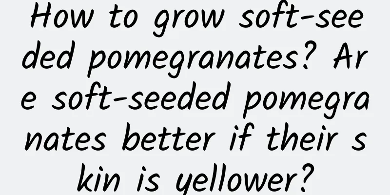 How to grow soft-seeded pomegranates? Are soft-seeded pomegranates better if their skin is yellower?