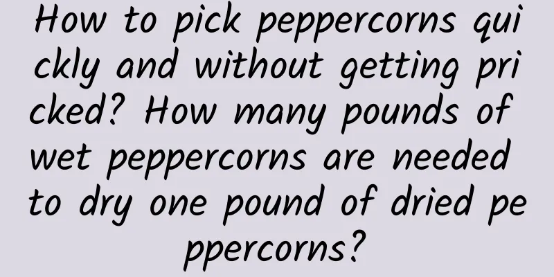 How to pick peppercorns quickly and without getting pricked? How many pounds of wet peppercorns are needed to dry one pound of dried peppercorns?