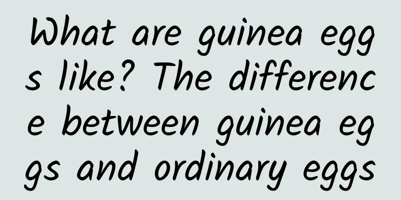 What are guinea eggs like? The difference between guinea eggs and ordinary eggs