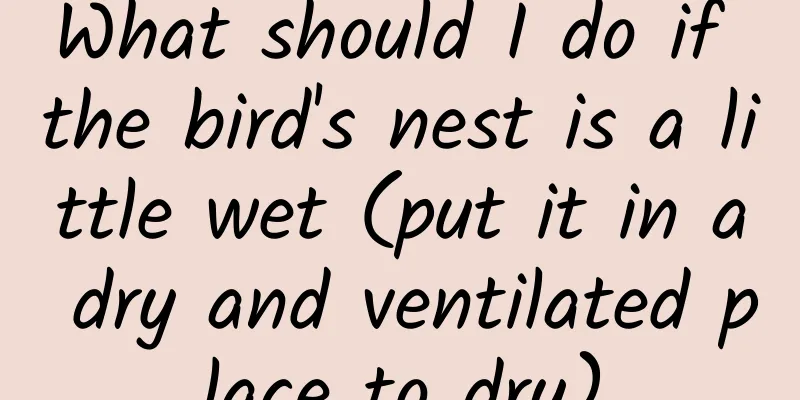 What should I do if the bird's nest is a little wet (put it in a dry and ventilated place to dry)