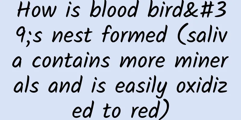 How is blood bird's nest formed (saliva contains more minerals and is easily oxidized to red)