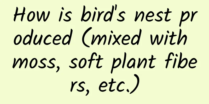 How is bird's nest produced (mixed with moss, soft plant fibers, etc.)
