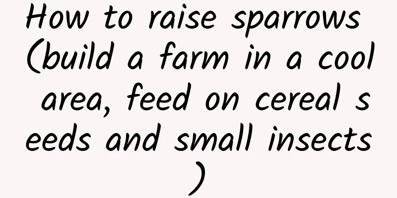 How to raise sparrows (build a farm in a cool area, feed on cereal seeds and small insects)