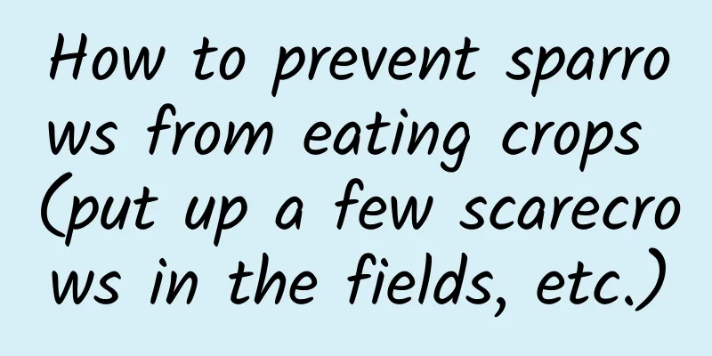 How to prevent sparrows from eating crops (put up a few scarecrows in the fields, etc.)