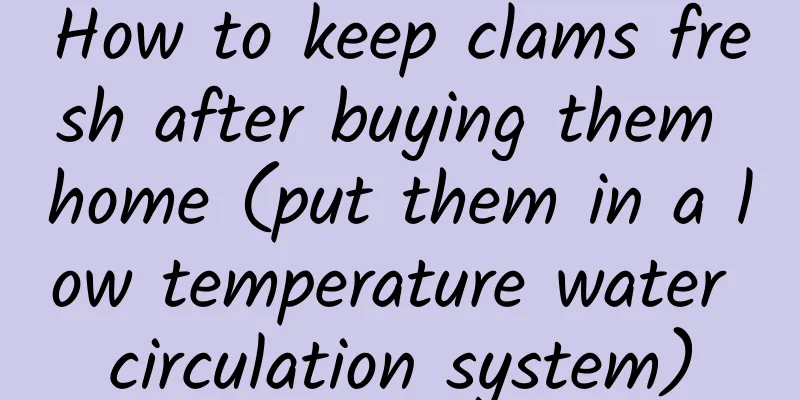 How to keep clams fresh after buying them home (put them in a low temperature water circulation system)