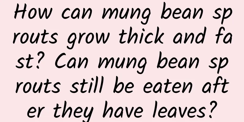 How can mung bean sprouts grow thick and fast? Can mung bean sprouts still be eaten after they have leaves?